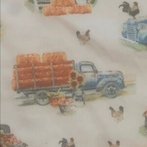 Charming girly Dress with Pumpkin print